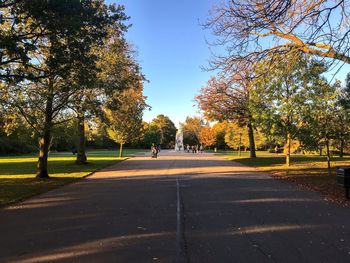 Road amidst trees in park during autumn