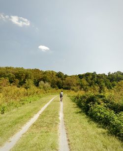 Rear view of man walking on road amidst trees against sky