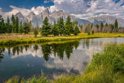 Scenic view of lake by trees against sky