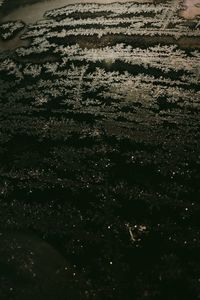 Full frame shot of agricultural field