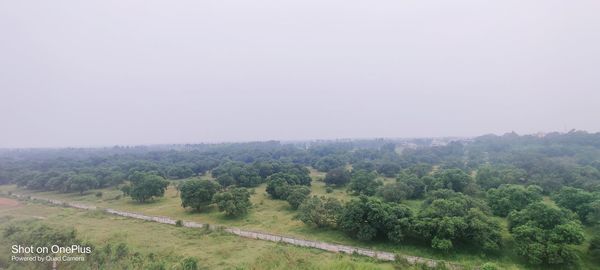 Scenic view of trees on field against clear sky