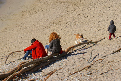 People and dog with driftwood at beach