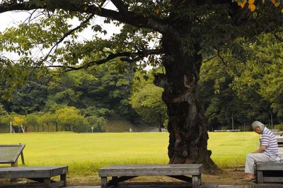 Empty bench in park