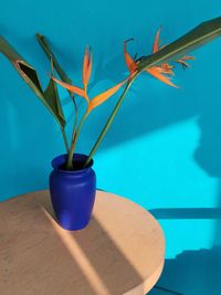 Close-up of potted plant on table