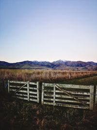 Scenic view of field against clear sky