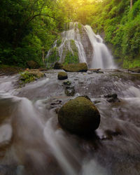 Scenic view of waterfall in forest