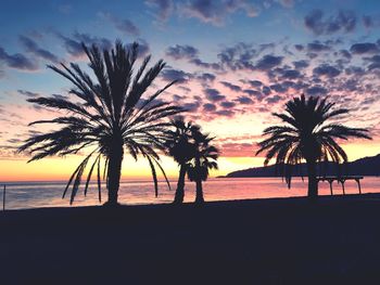 Silhouette palm trees on beach against sky at sunset