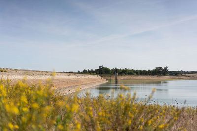 Divor dam landscape on a cloudy day in alentejo with yellow flowers on the foreground, portugal