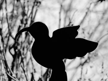 Low angle view of silhouette bird against blurred background