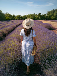Rear view of woman standing in lavender field