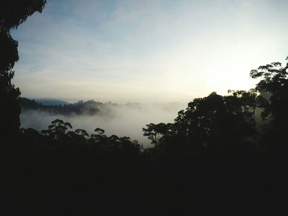 Ulu Temburong National Park