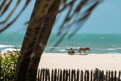 View of boats in sea