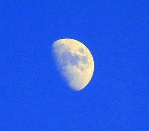 Low angle view of blue sky