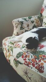 High angle view of cat on bed at home