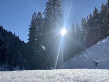 Sun streaming through snow covered land against sky on sunny day