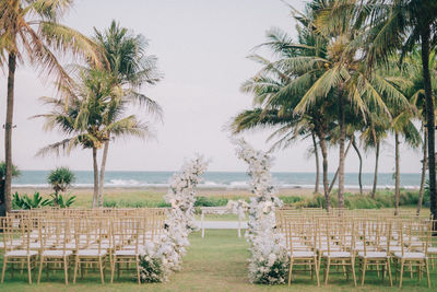 Palm trees on field