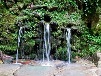 Waterfall in forest