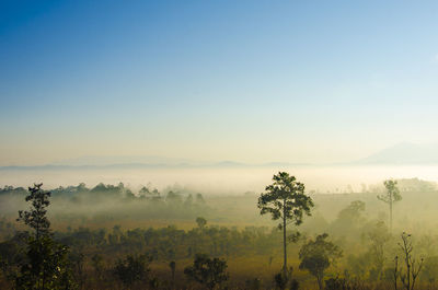 Scenic view of landscape against clear sky