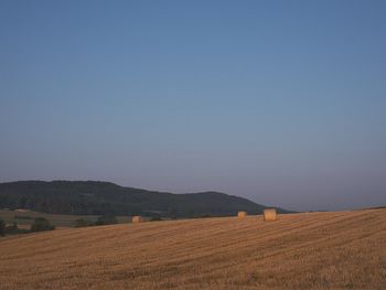 Scenic view of field against clear sky