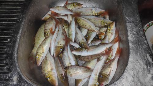 High angle view of fish on barbecue grill