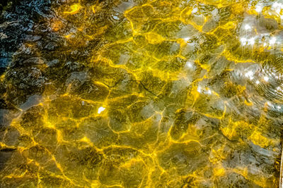 Full frame shot of rocks in water