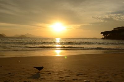 Scenic view of sea at sunset