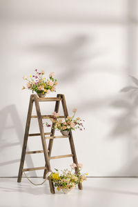 Potted plant on table