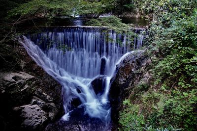 Scenic view of waterfall in forest