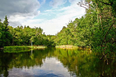 Scenic view of lake in forest against sky