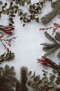 High angle view of christmas tree