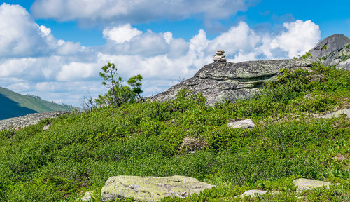 Scenic view of landscape against sky