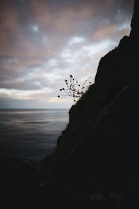 Scenic view of sea against sky at sunset