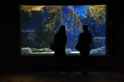 Silhouette men in aquarium