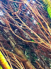 Full frame shot of abstract background