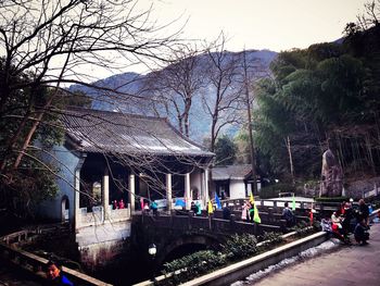 Bare trees along road