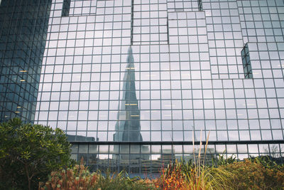 Low angle view of glass window in building