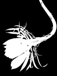 Low angle view of plants