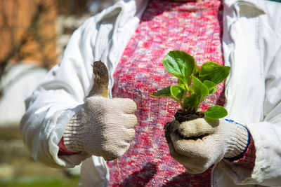 Midsection of gardener holding plant