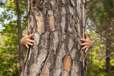 Midsection of man holding tree trunk