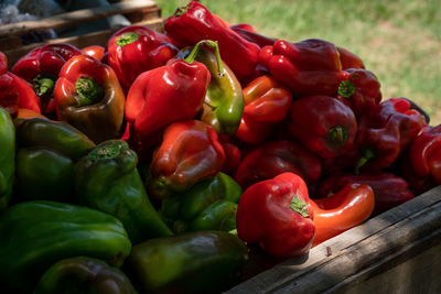 Close-up of red bell peppers at market stall