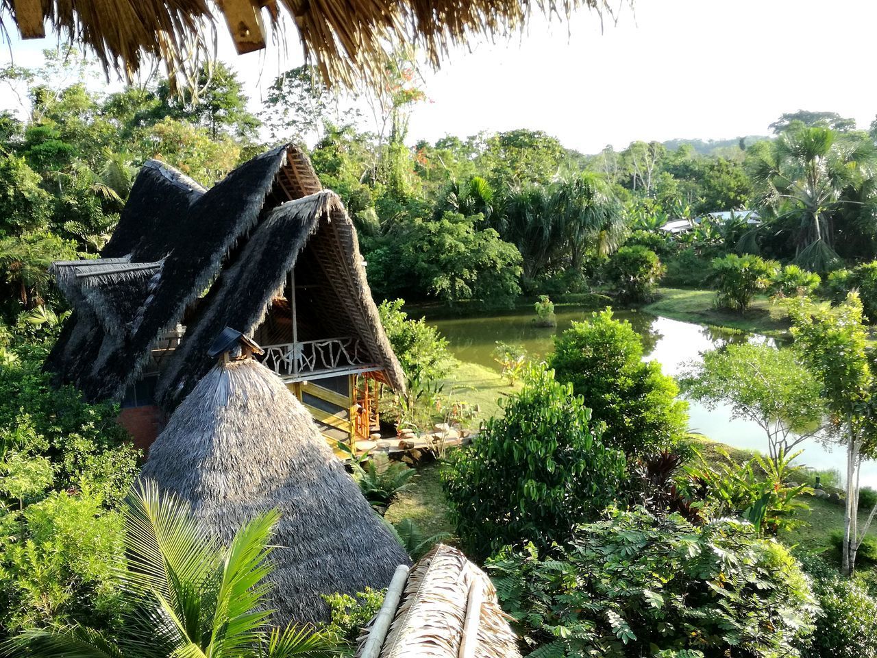 SCENIC VIEW OF LAKE IN FOREST