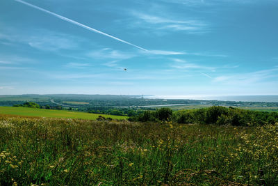 Scenic view of field against sky