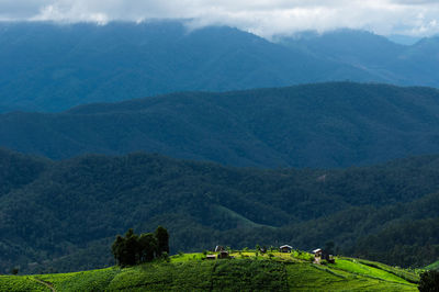 Scenery of light falling on the top of the hill terraced rice fields, ban pa pong piang 