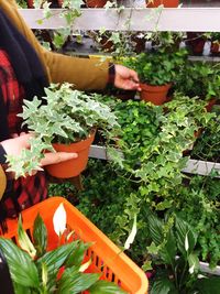 Low section of man with potted plants at market