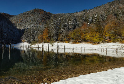 Reflection of trees in lake against sky during winter