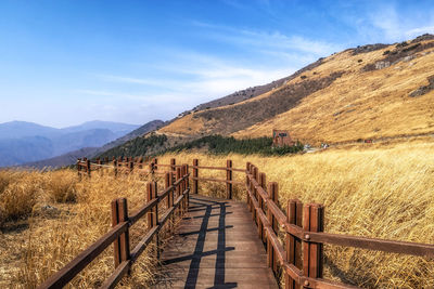 Scenic view of field by mountains against sky