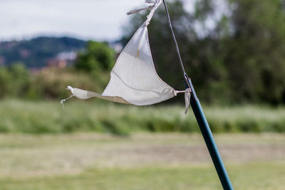 Close-up of white leaf hanging on rope