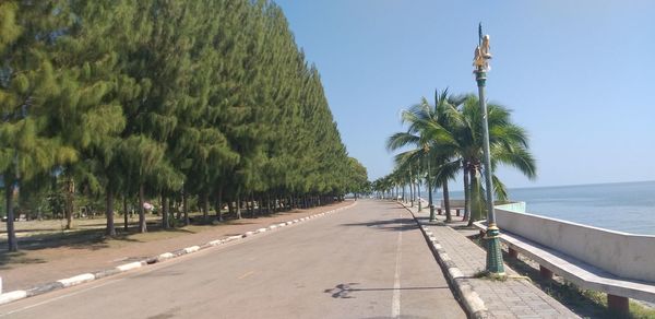 Scenic view of palm trees on beach against clear sky