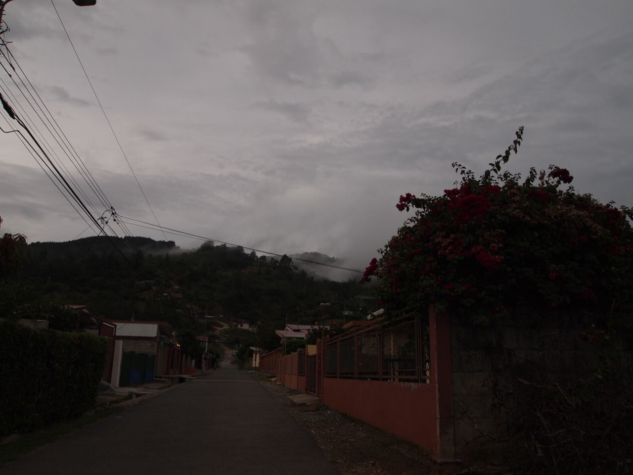 VIEW OF TREES AGAINST CLOUDY SKY