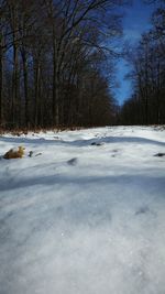 Snow covered landscape against sky